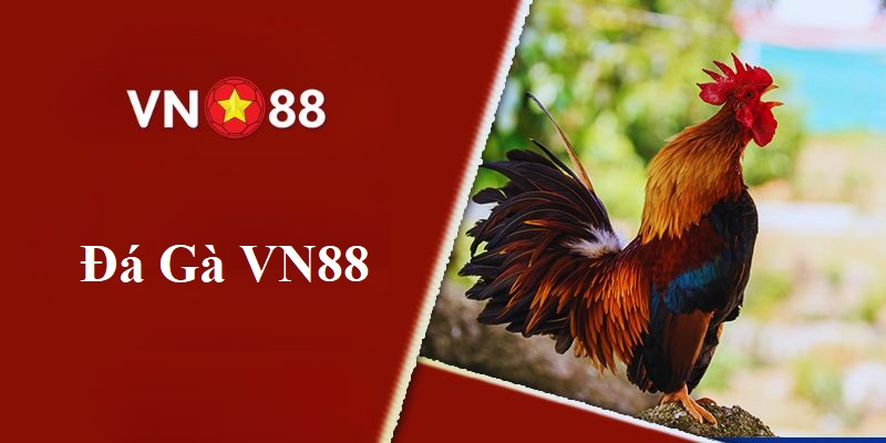 Đá gà online Vn88 vô cùng đa dạng