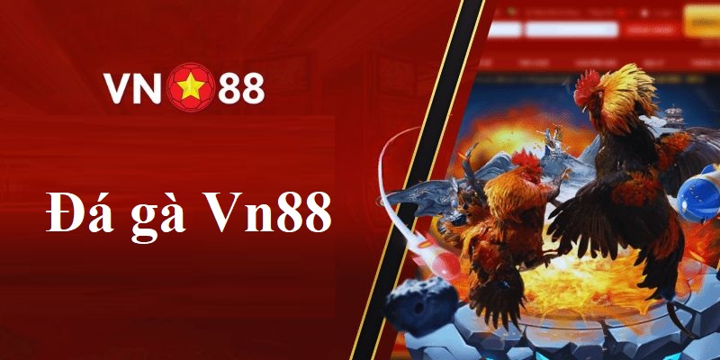 Những kinh nghiệm chơi đá gà online Vn88 chia sẻ đến bạn